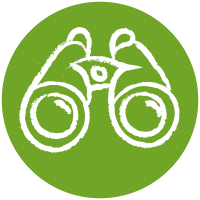 Ekolien&nbsp;: menu découvre